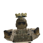 @Belgian01