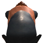 @Randomspieler2