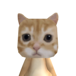@crazycatlover478