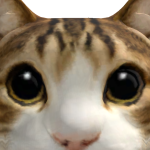 @Commanderwolffy21