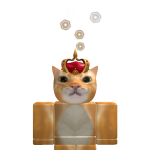 @Developer_Samsung