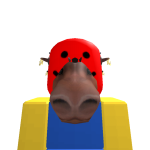 @flippoo
