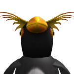 @usjunt