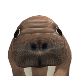 @ItzDerek719