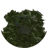NRRaptors12