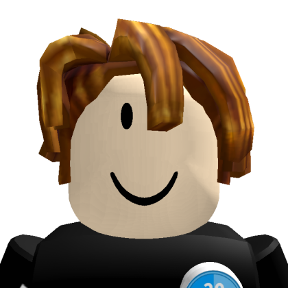 Roblox profile picture for @sakaru94