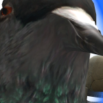 @Sebsebhk3