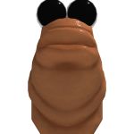 Warningfoo34