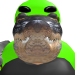 @awkwedio