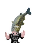 @qwuakiiee