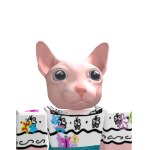 @rainbowkittykitten9
