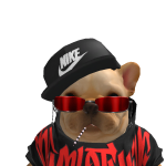 @kakazuxd