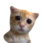 @5CATZ4LIFE