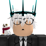 @robloxhome222