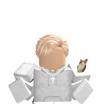 @Minecraft_cat200