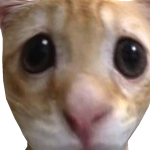 @THEDERPYUNICONE