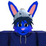@Racermypetvr4234