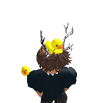 @TheRealFanTasyBlox