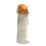 @AwhCammyy