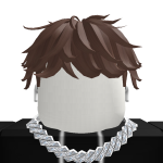 @SorryRobloxAflislife