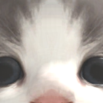 @rctroz