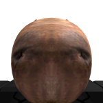 @robloxpolice97