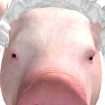 @CpicyOmega32d