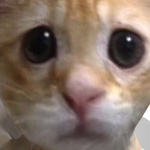 @jerry79220jerry