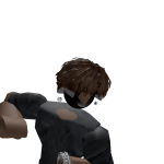 @NoobMaster0308