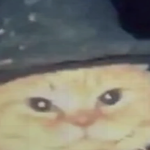 @oreocatx1