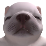 @jonhdoejj
