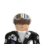 @zackplayesRoblox15