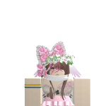 @lilila123457