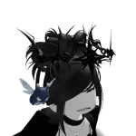 @phoenixhdd5252
