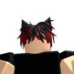 @CA1D3N13