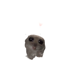 @AR1X4J
