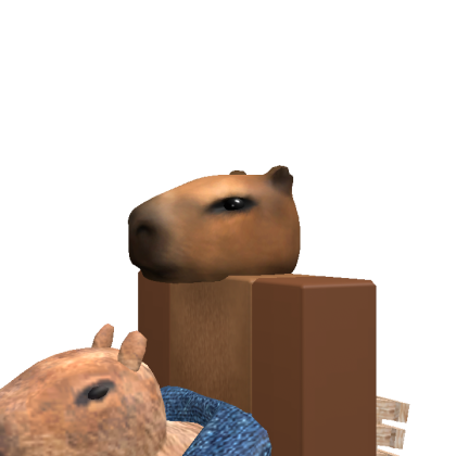 CaydenSplinter