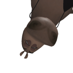 @ethanchubshr