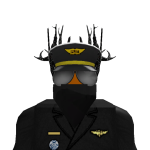 @Aeromericium