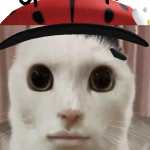 @Snoobeei