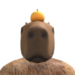 @Finnybear20152015