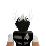 @D11_Pro
