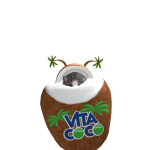 @vetonique