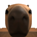 @CapybaraBallin