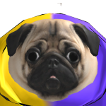 superfizzy6