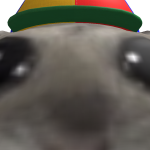 @asifsc123