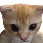 @bannchome3