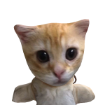 @Niki_official35