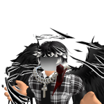 @Shadow73YT