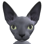 @ramses131